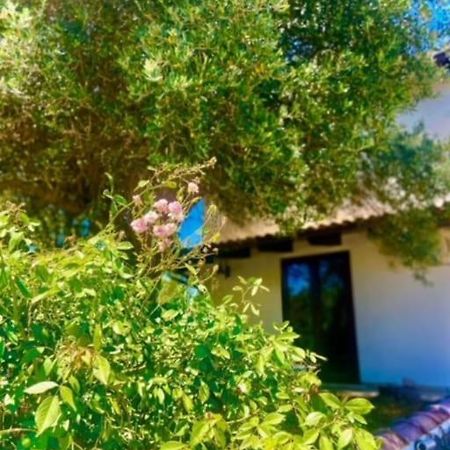 Camera Villa Sarda Aurora Elmas エクステリア 写真