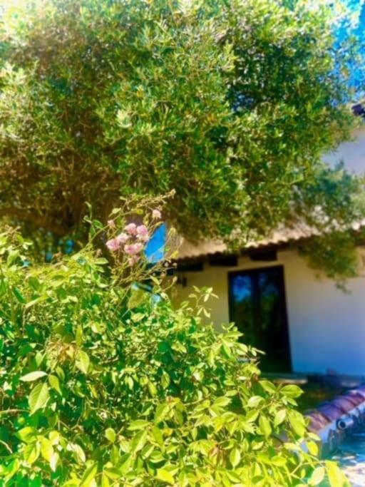 Camera Villa Sarda Aurora Elmas エクステリア 写真